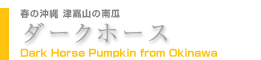 ダークホース