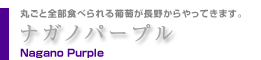 iKmp[v