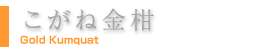 ˋ