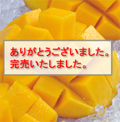 {Ó̂Ȃ}S[