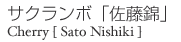 TN{uсv