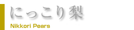 ɂ藜