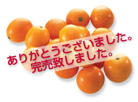 ˋ