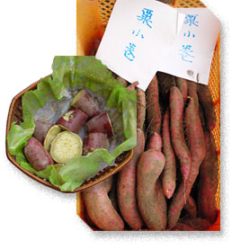 栗小巻