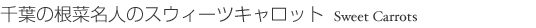 千葉の根菜名人のスウィーツキャロット