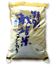 コシヒカリ