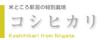 コシヒカリ